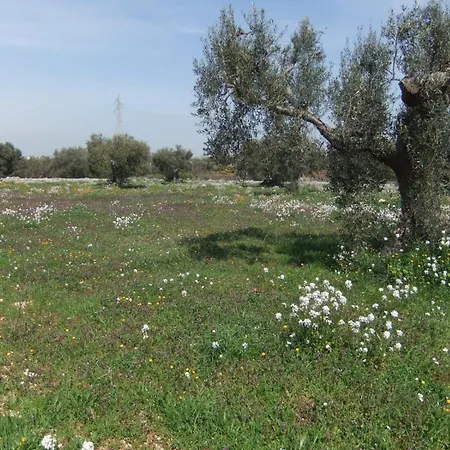 Masseria La Luna Nel Pozzo Castellana Grotte