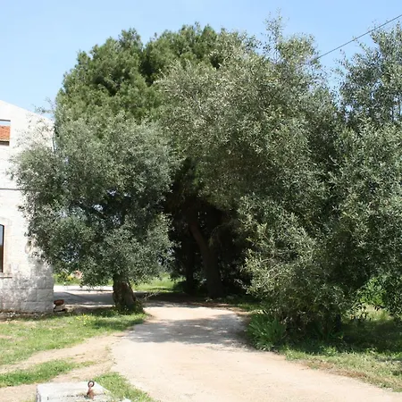 Kır Evi Masseria La Luna Nel Pozzo *
